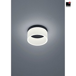Luminaire de salle de bain LIV 20 forme de l'anneau IP30, noir mat gradable