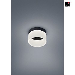 Luminaire de salle de bain LIV 15 forme de l'anneau IP30, noir mat gradable
