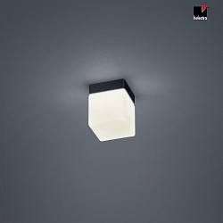ceiling luminaire KETO square, switchable, with diffuser IP44, black matt 