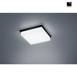 Luminaire de plafond COSI IP30, satin, noir mat gradable