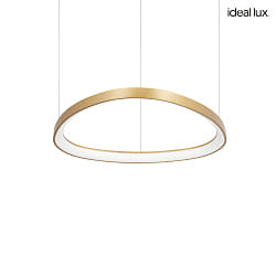 pendant luminaire GEMINI 61 DALI controllable IP20, brushed brass dimmable